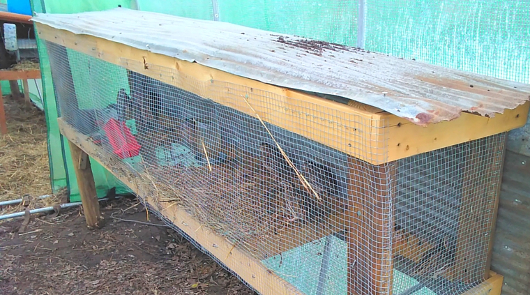 quail-hutch
